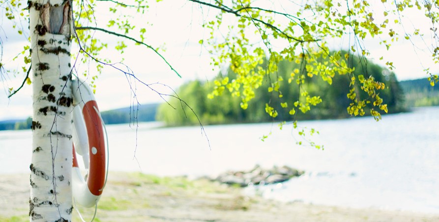 En livboj hänger på en björkstam, en sjö skymtar i bakgrunden.